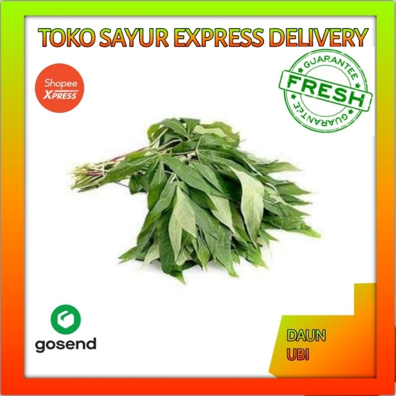 

Daun ubi 1 ikat - sayur express delivery palembang