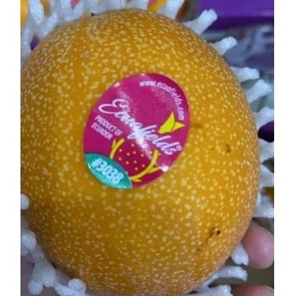 

BUAH MARKISA EQUADOR 1 KG
