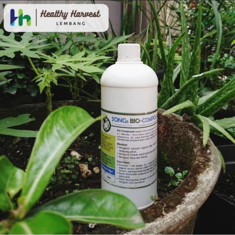 MOL Songsong Bio Compound 1L