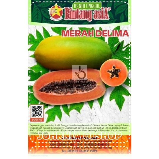 Johrnia 2 Benih Biji Pepaya MERAH DELIMA