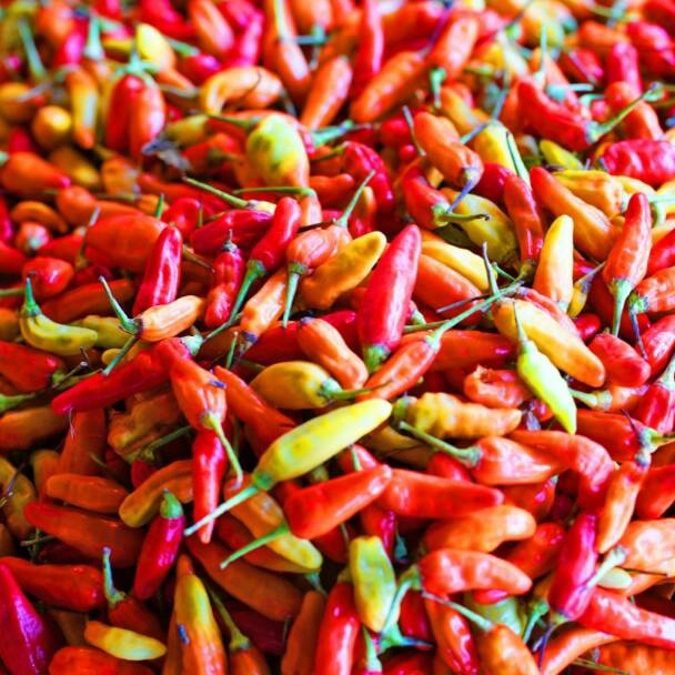 

MODEL LMN972 Cabe / Cabai Rawit Merah 500 gr