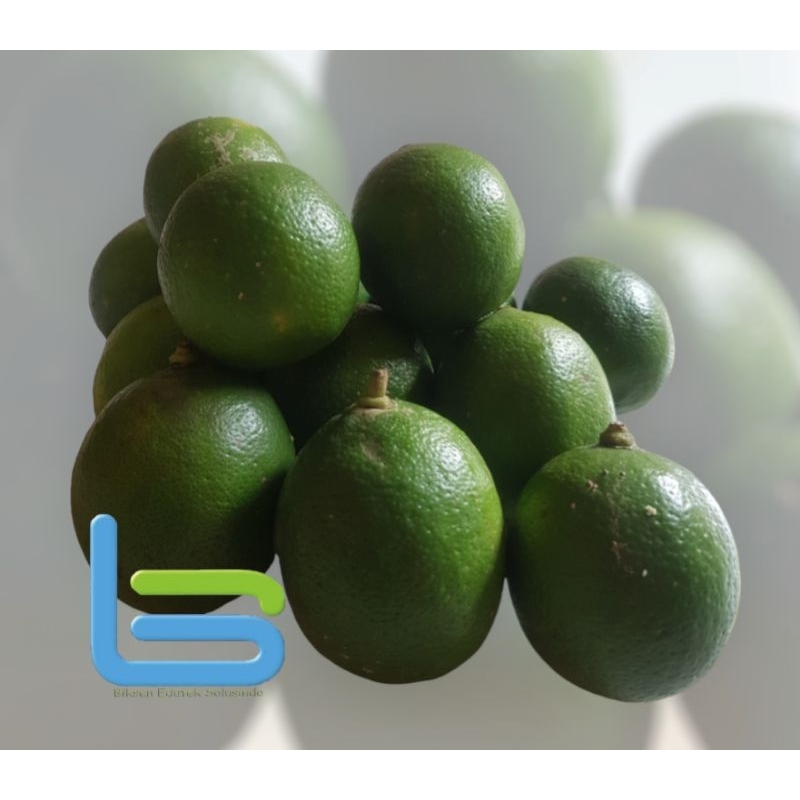 

lemon california 1kg