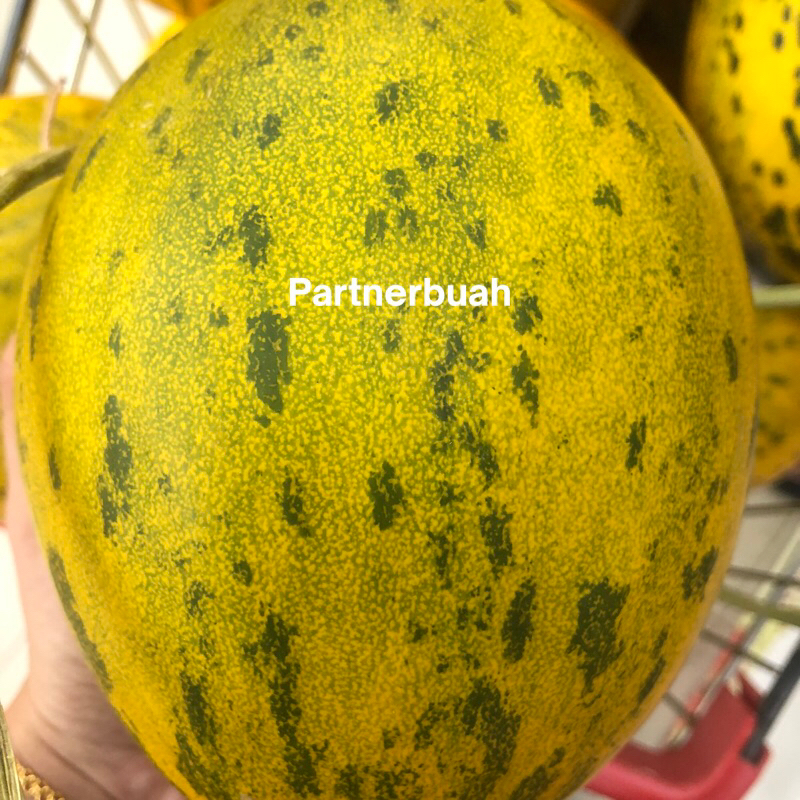 

Melon Hydro KingShow Sweet 1 Kg