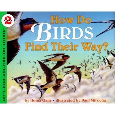 [Harper Collins] Buku Anak "LRFO How Do Birds Find Their Way?" Paperback