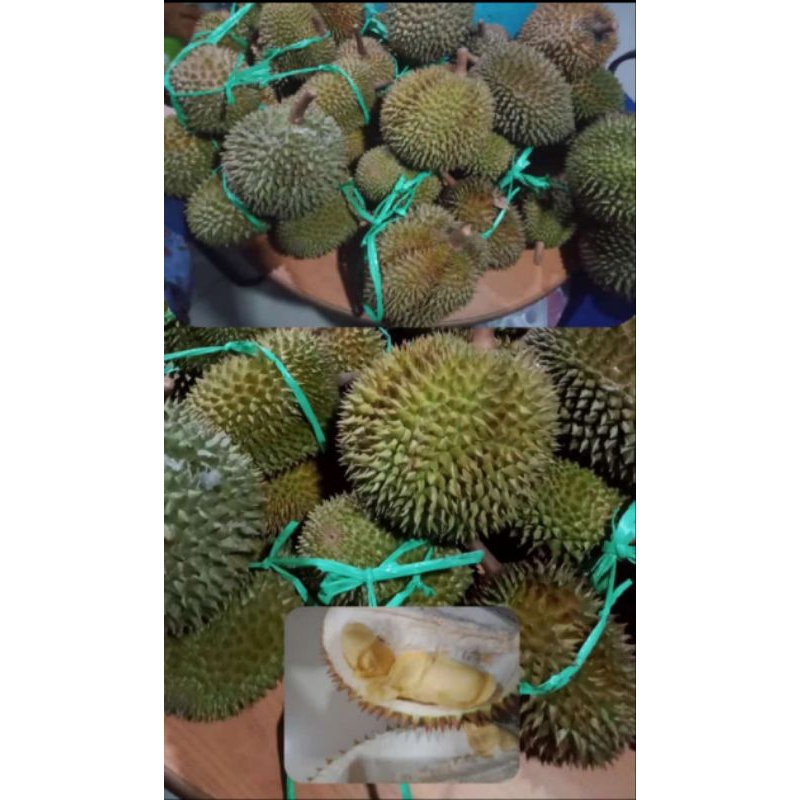 Durian montong utuh dijamin manis