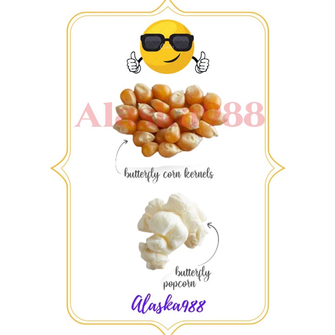 

Biji Jagung Popcorn Butterfly USA / Repack 1 KG 3864