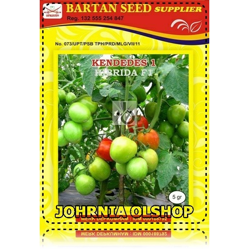 Johrnia 10 Benih Biji Tomat KENDEDES F1