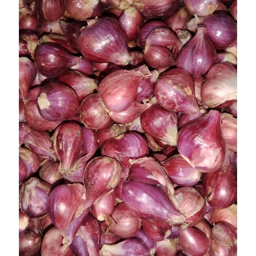 

Kode WYL300 BAWANG MERAH BREBES ASLI SUPER 1kg