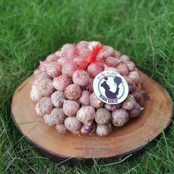 

KHL Bawang Putih Tunggal | Bawang Lanang 1 kg pemoz