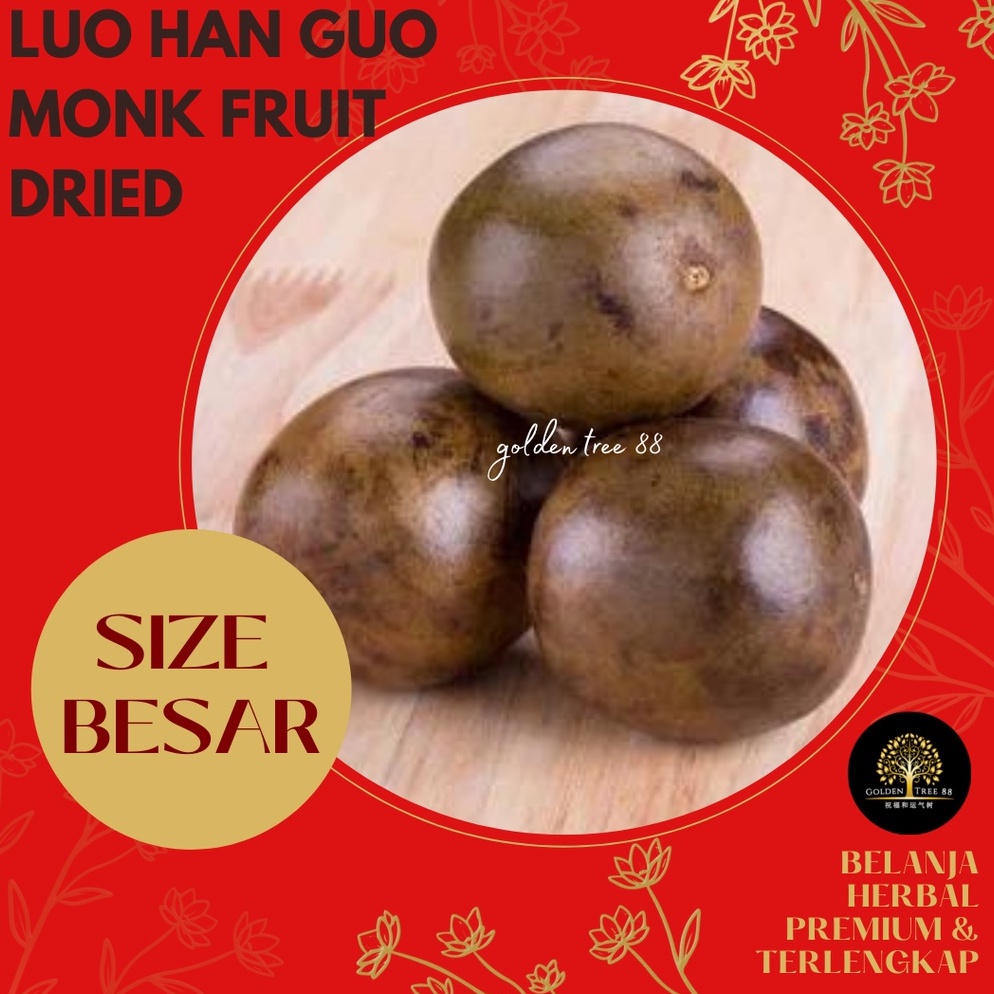

St0k B4nyak Premium Buah Lo Han Kuo Lo Han Guo Asli Tiongkok Fresh Original Ukuran Besar dan Jumbo [38]