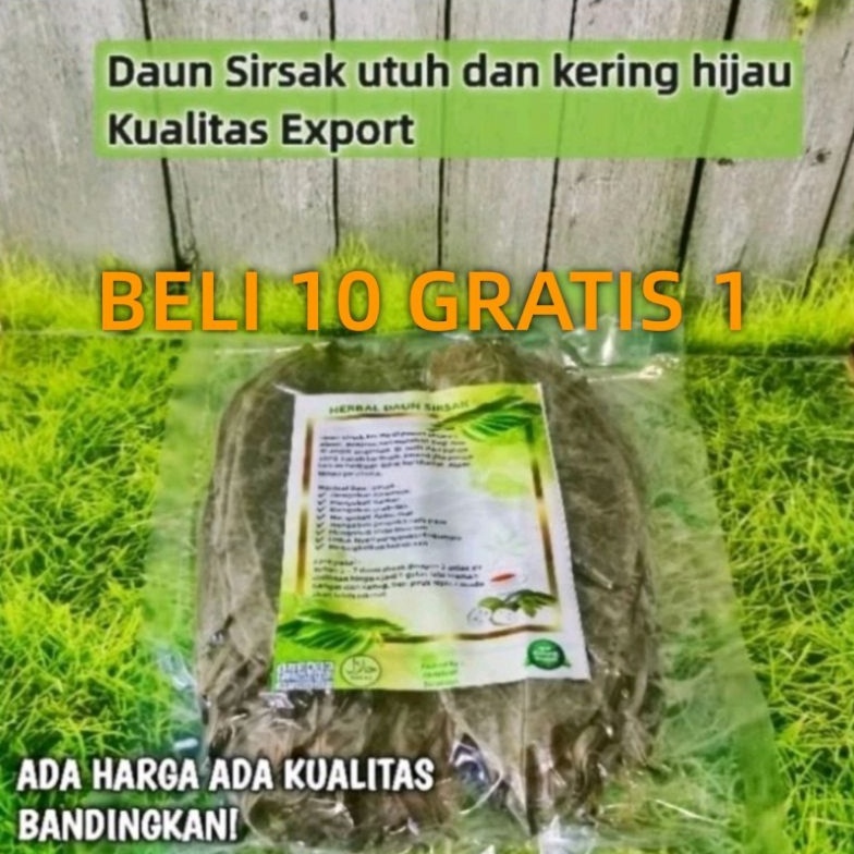 

➜ Daun Sirsak Kering ( Barang kualitas Export Bisa COD ) 9269