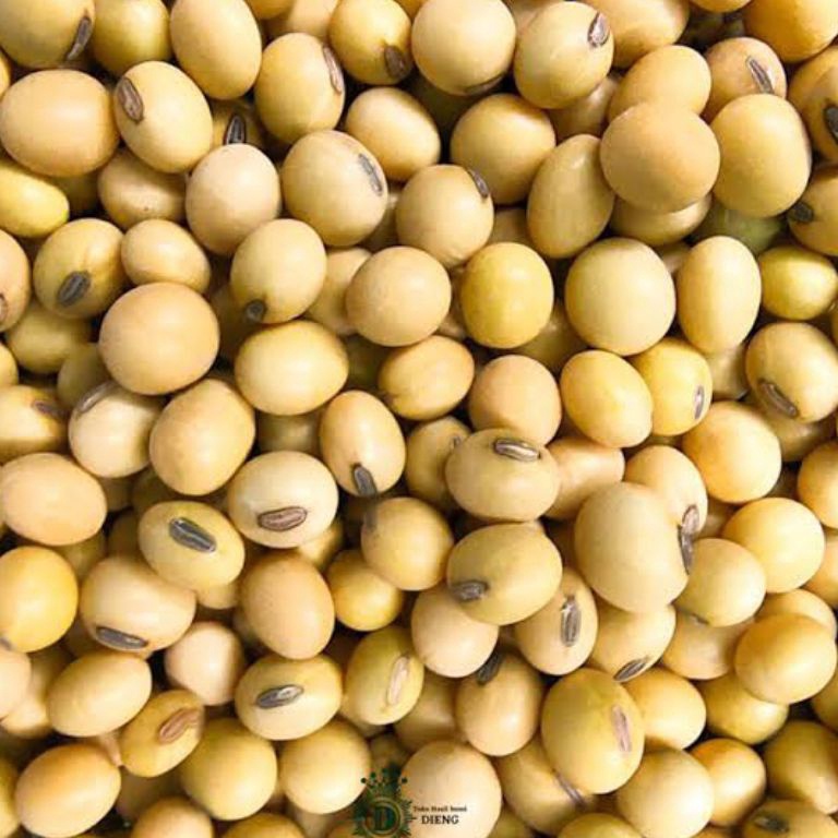 

➚ Kacang Kedelai Super Import 1kg(grade.A)Kacang Kedelai Soybean vjgry