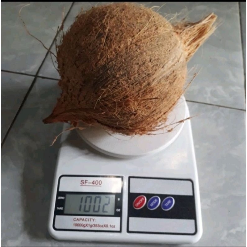 

KELAPA -+ 1KG