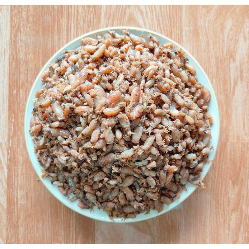 

baby cumi kering premium 1kg