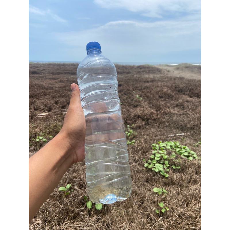 Air Laut Asli Murni untuk Aquarium 1 Litter