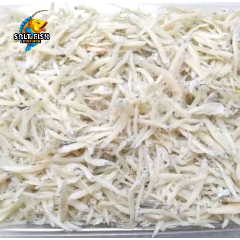 

Ikan Asin Teri Medan Atau Teri Nasi Putih 1kg
