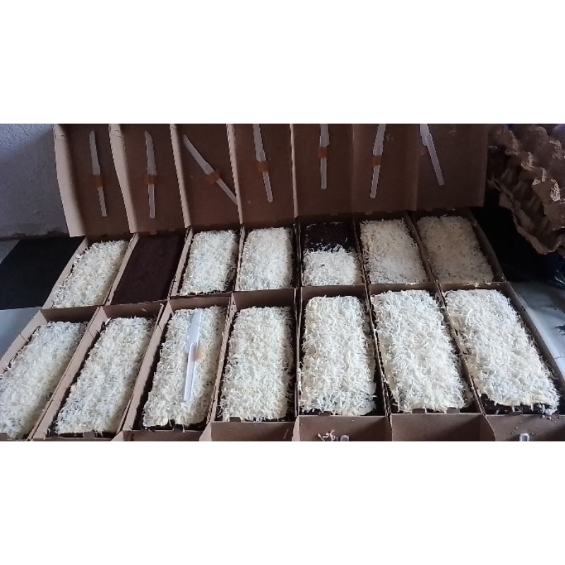 

Brownies Kukus Farah Cake