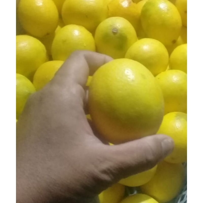 

lemon lokal grade A super 1kg