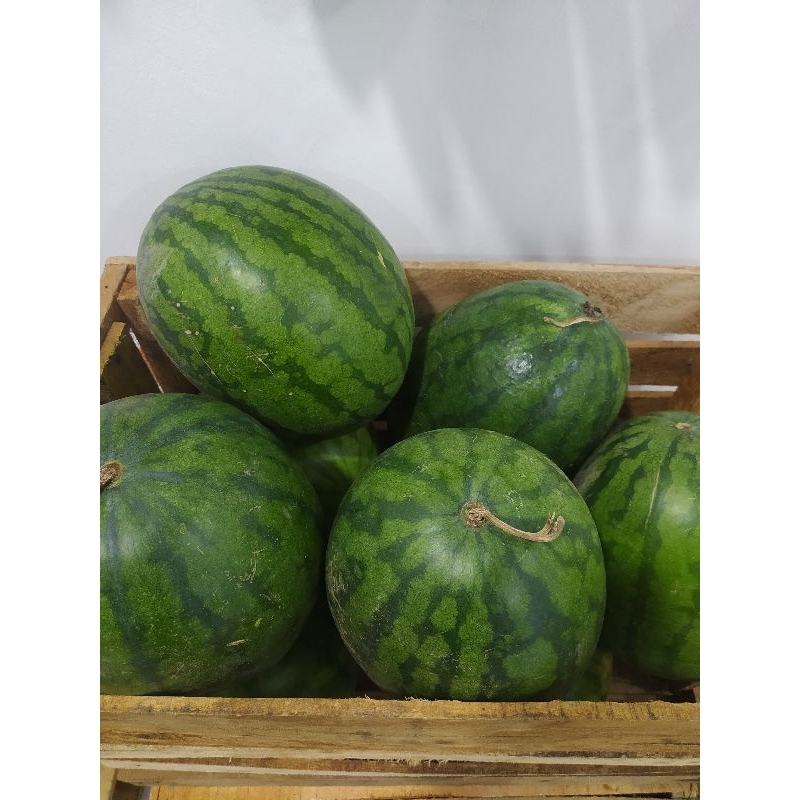 

Semangka Merah tanpa biji