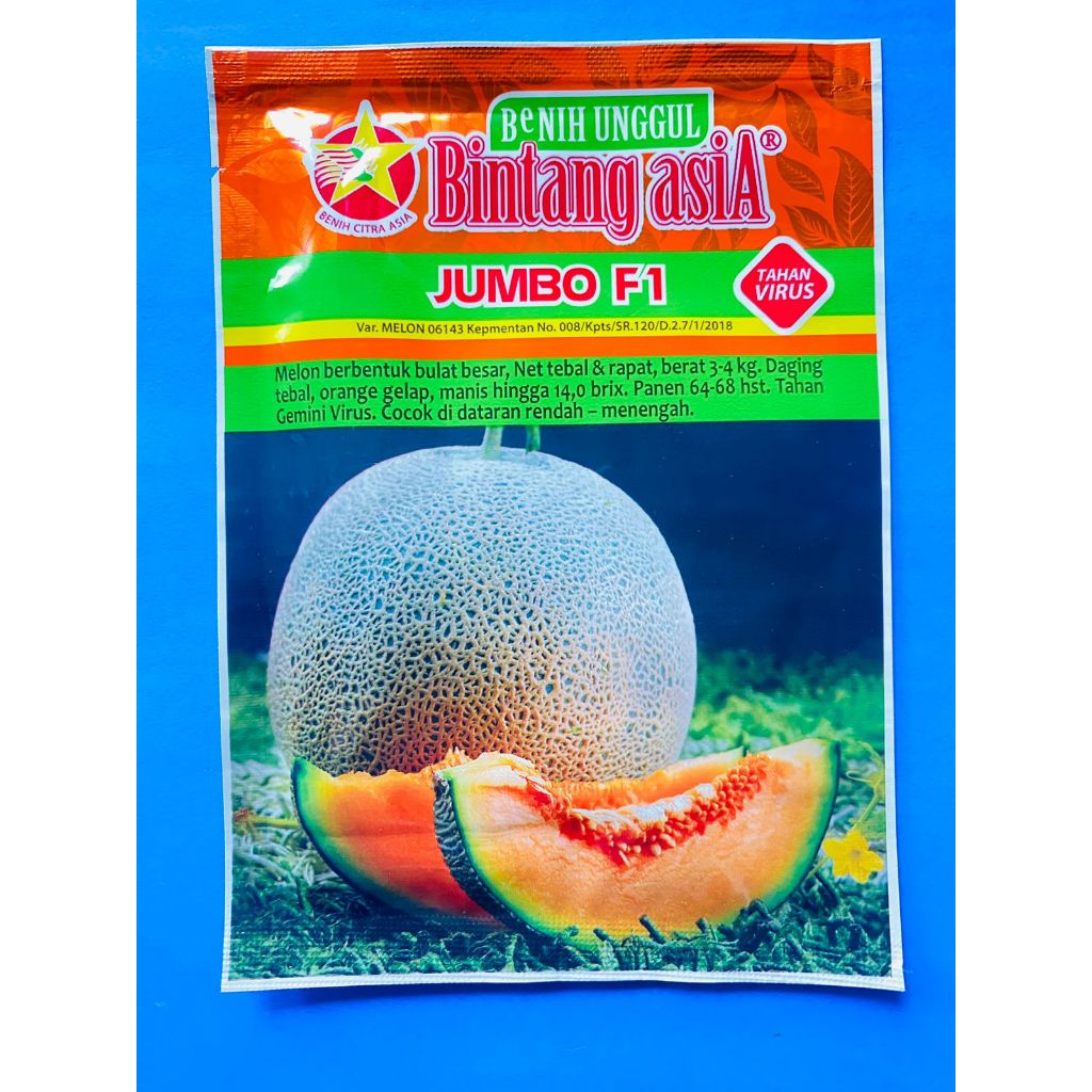 Benih melon orange Jumbo F1 dr Bintang Asia