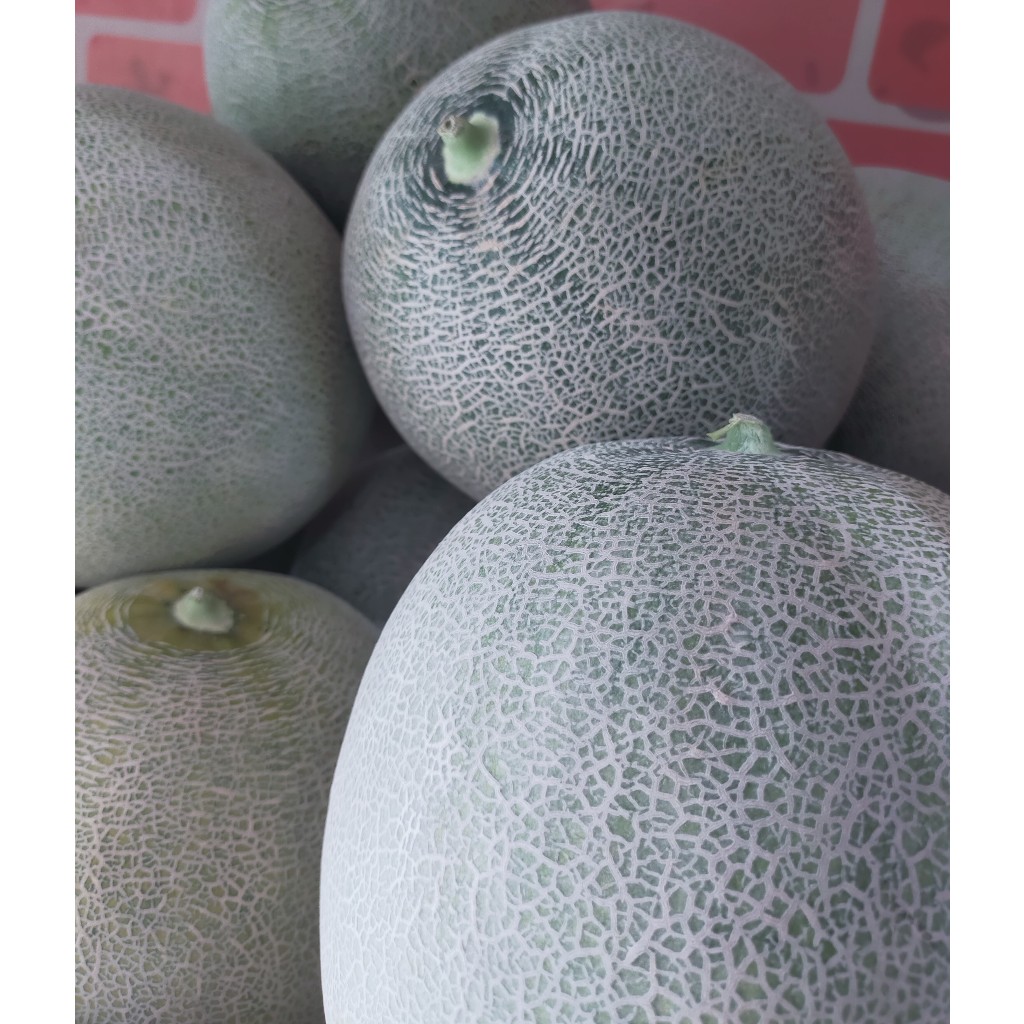 

Melon Honey