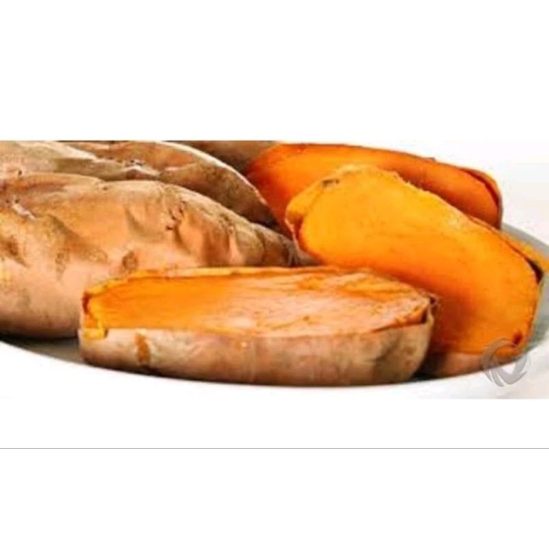 

NOB UBI CILEMBU SUDAH MATEMG TINGGAL D MAKAN YA JUAL PERKG YA KAK