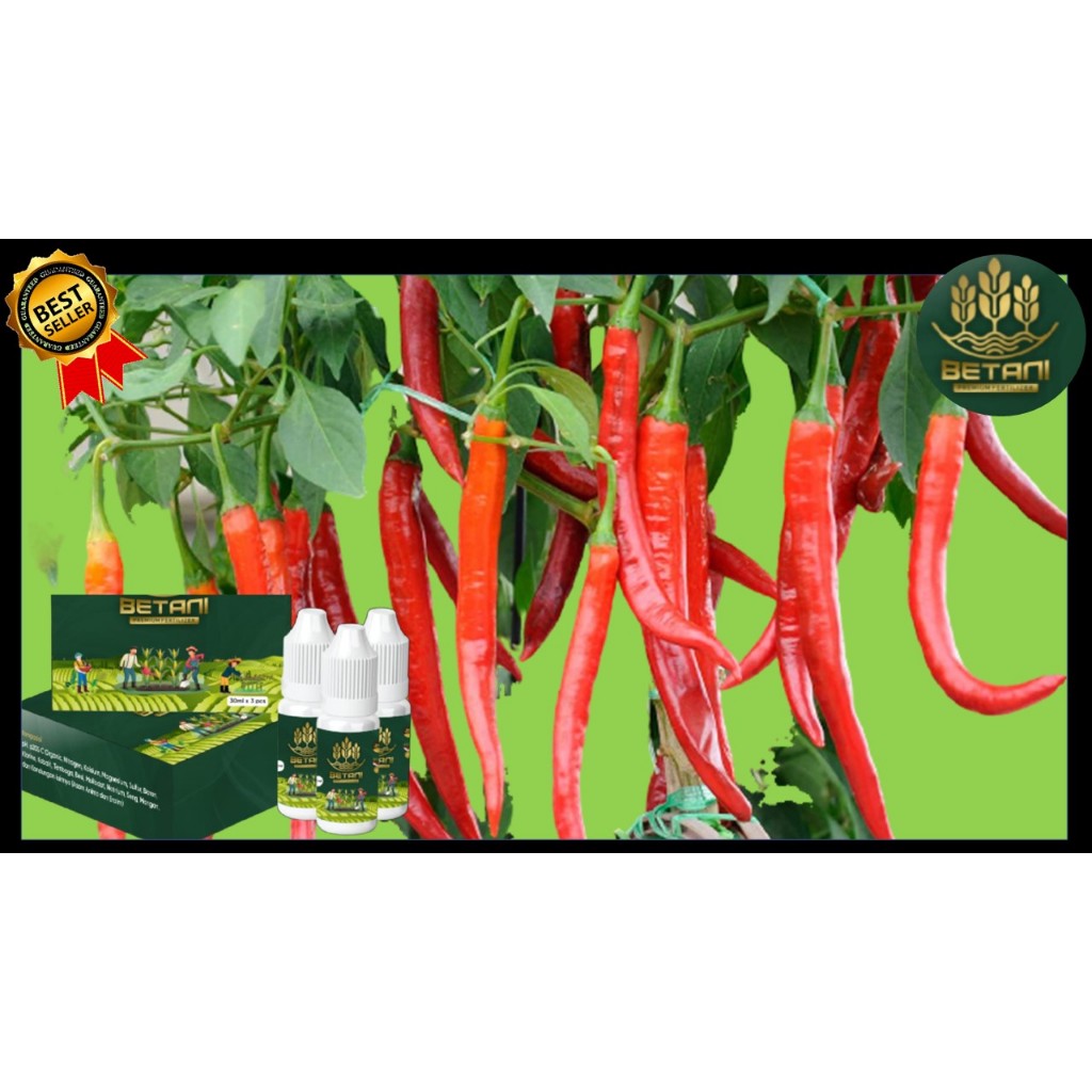 Pupuk Betani Organik Terbaik Untuk Cabe, Pupuk Cabe Yang Bagus, Pupuk Cabe Masa Pertumbuhan,Pupuk Be