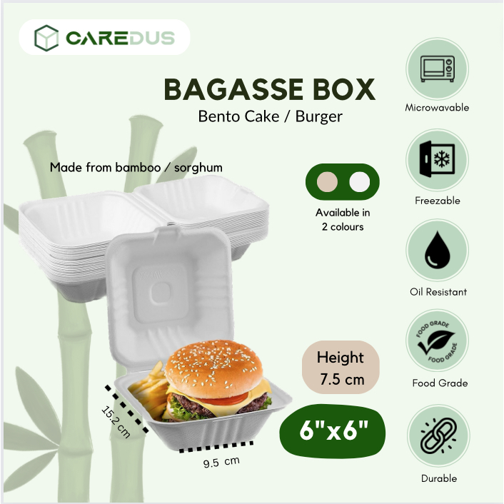 Bagasse Bento Box (6 inch)