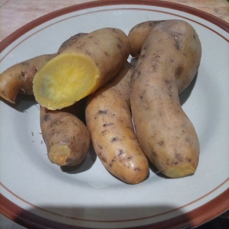 Ubi Cilembu - Ubi Madu