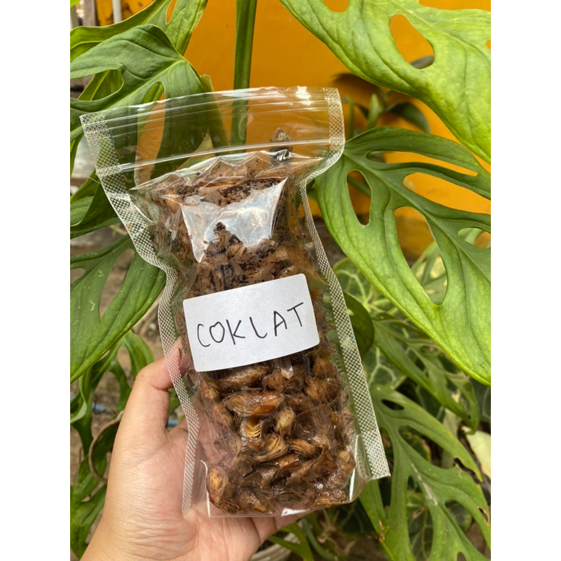 

Kulpi (Keripik Kulit Lumpia)