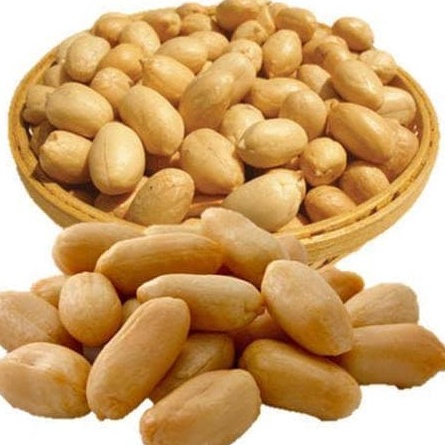 

Harga Termurah Kacang Panggang 1KG - Kacang Oven Bawang - Roasted Peanuts RD snack ➛➙❅⋆