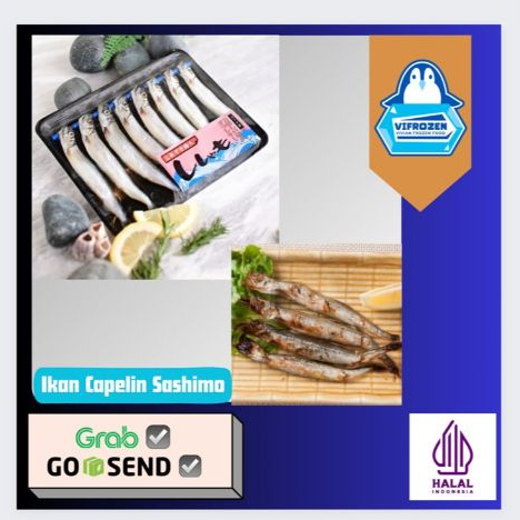 

Shisamo Fish Ikan Capelin Gendut Telur Full kaya Gizi Omega 3 isi 8pcs
