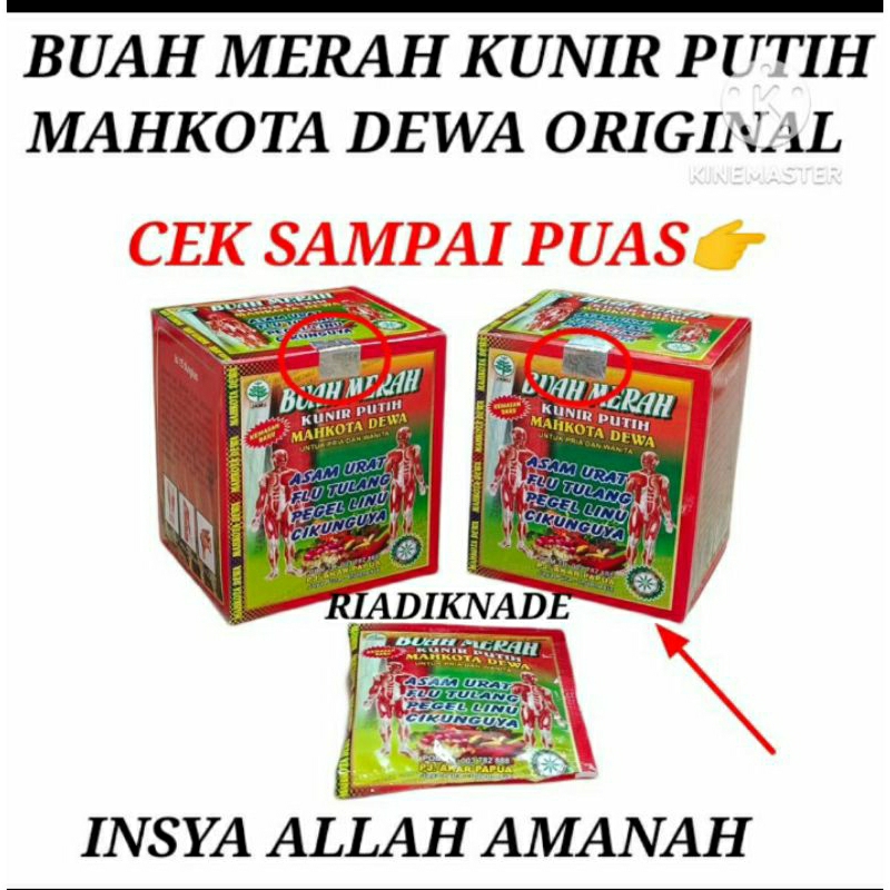 

Buah Merah Plus Kunir Putih Original 15 Sachet