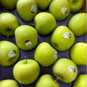 

Apel Granny Smith USA