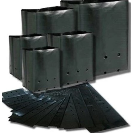 Polybag tanaman 1 kg