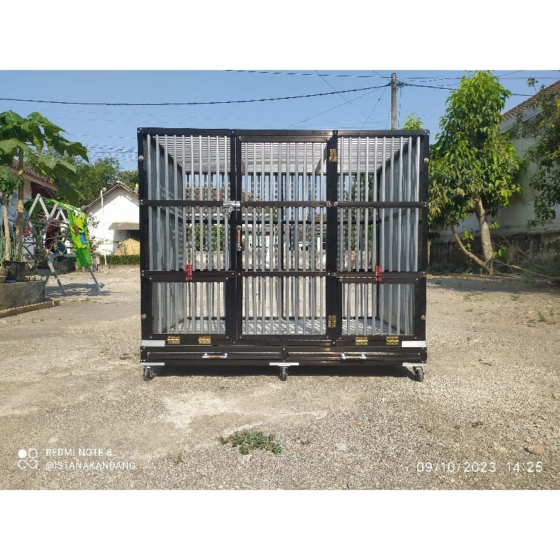 KANDANG ANJING PITBULL/AMERICAN BULLY/HERDER