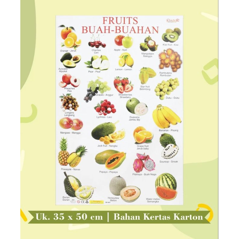 poster edukasi anak poster hewan sayuran buah buahan