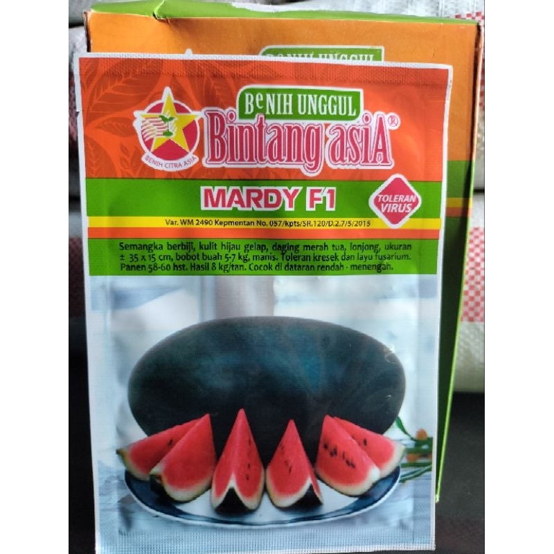 Semangka inul Mardy F1 Bintang asia