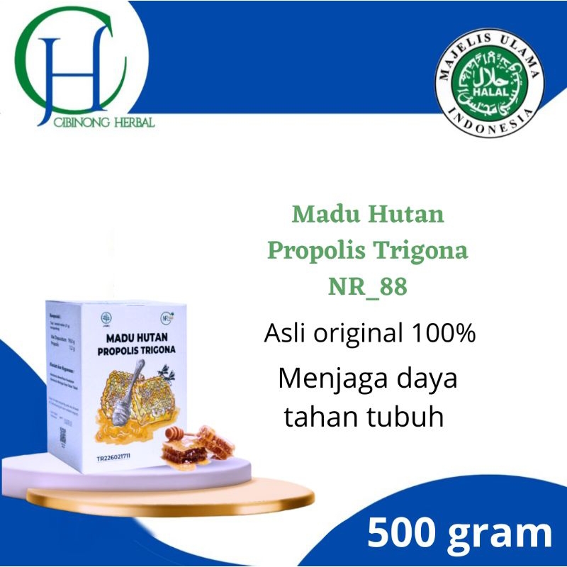

Madu Hutan plus propolis trigona NR88 original 500 gram