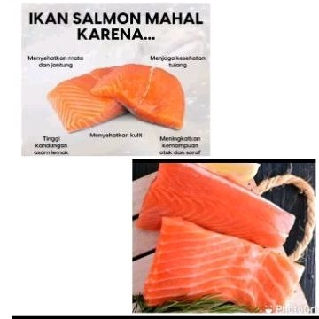 

salmon 200gr