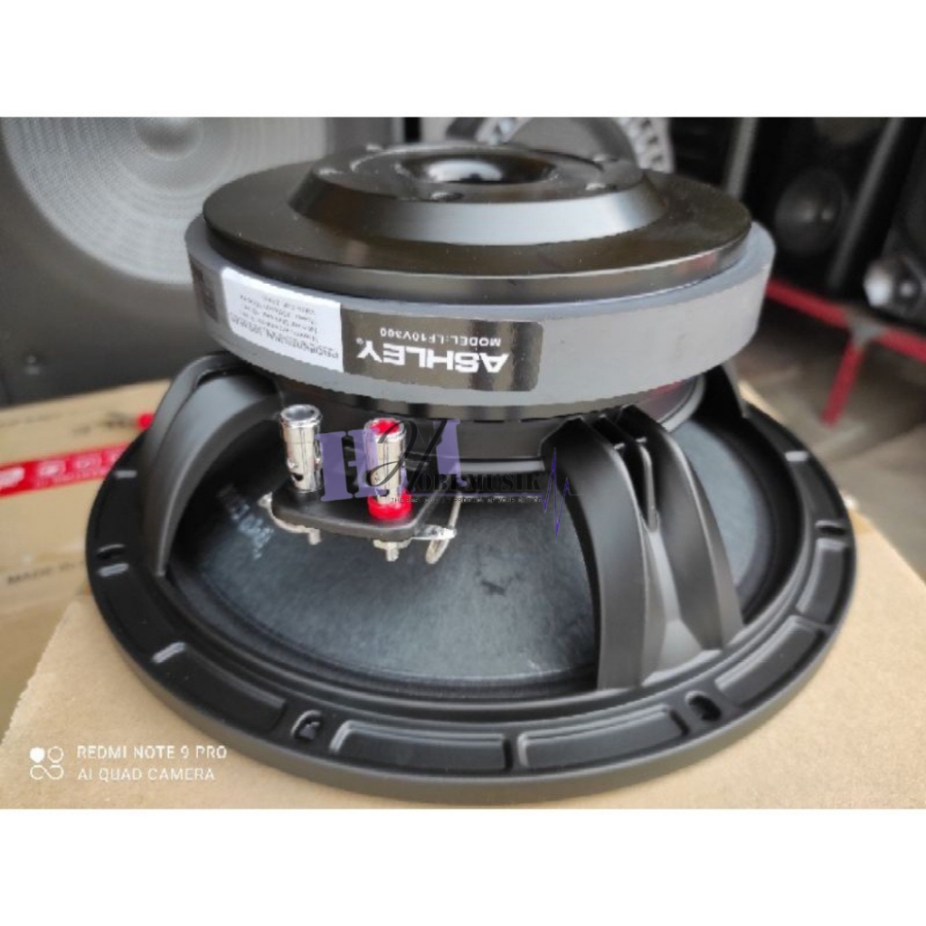 Speaker Ashley LF10V300 LF 10v300 lf10v300 10inch Original