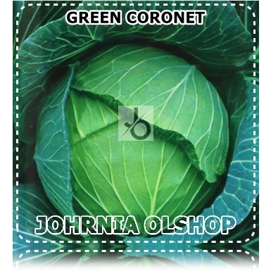 Johrnia 15 Benih Biji Kubis GREEN CORONET