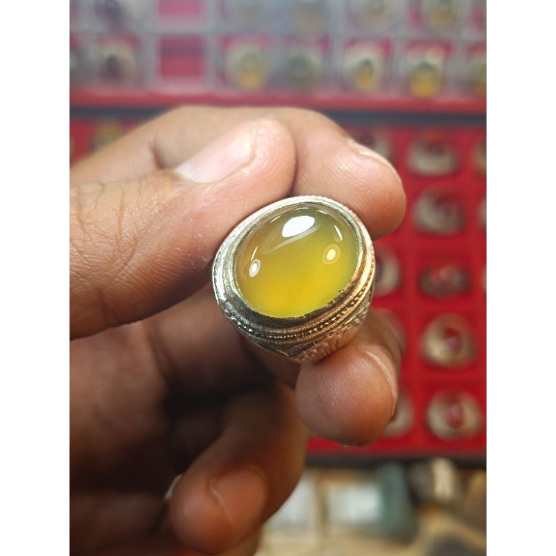 BIO SOLAR KRISTAL GIWANG SUPER