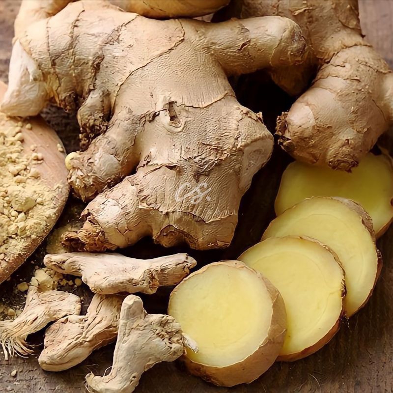 

[CosmicSoul] JAHE PUTIH | JAHE GAJAH