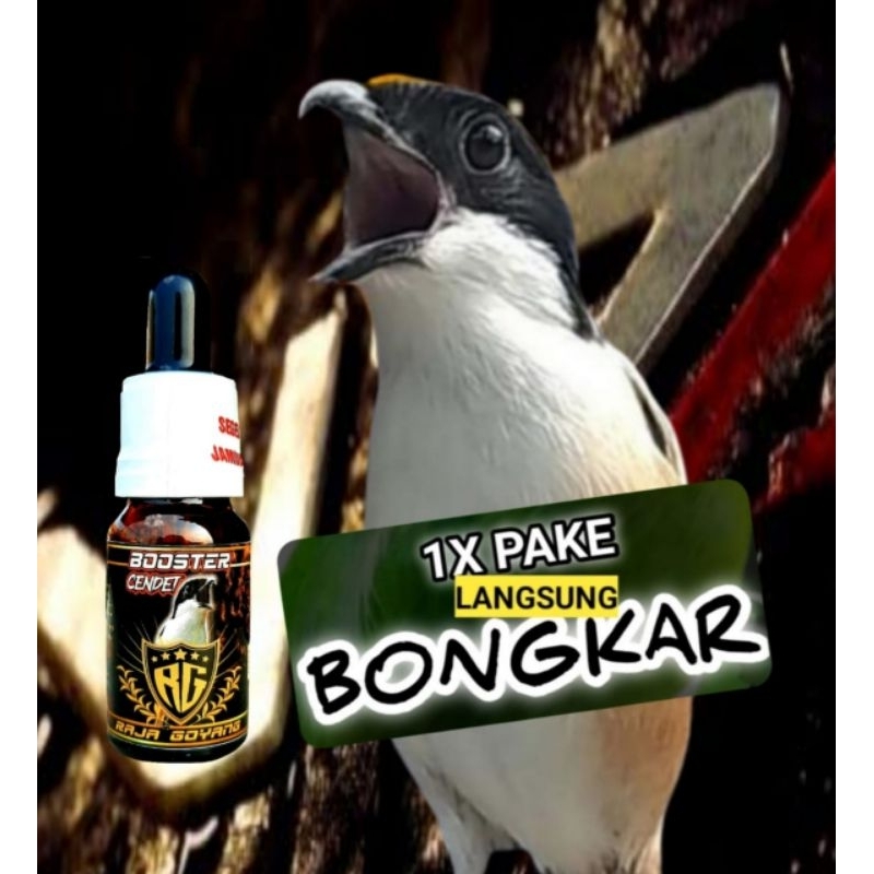 BOOSTER CENDET RG,Vitamin burung Cendet ,vitamin penggacor burung cendet,BOOSTER CENDET,enteng kelua