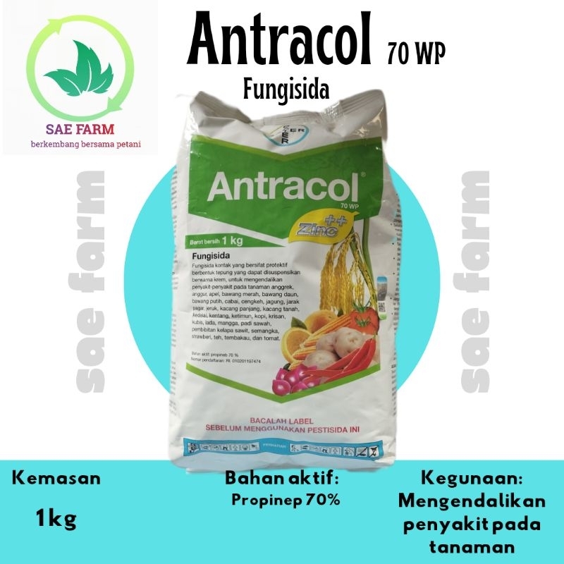 Antracol 1kg fungisida dgn bahan aktif propinep 70%