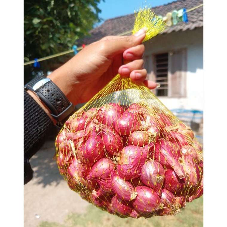 

[Produk KR95] Bawang Merah Asli Nganjuk Terbatas