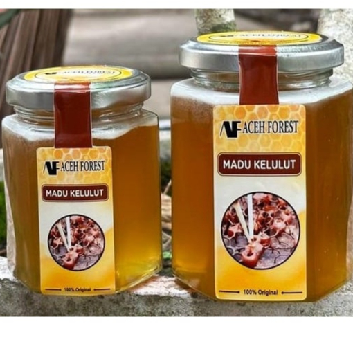 

Madu Kelulut Aceh Forest 280 ml