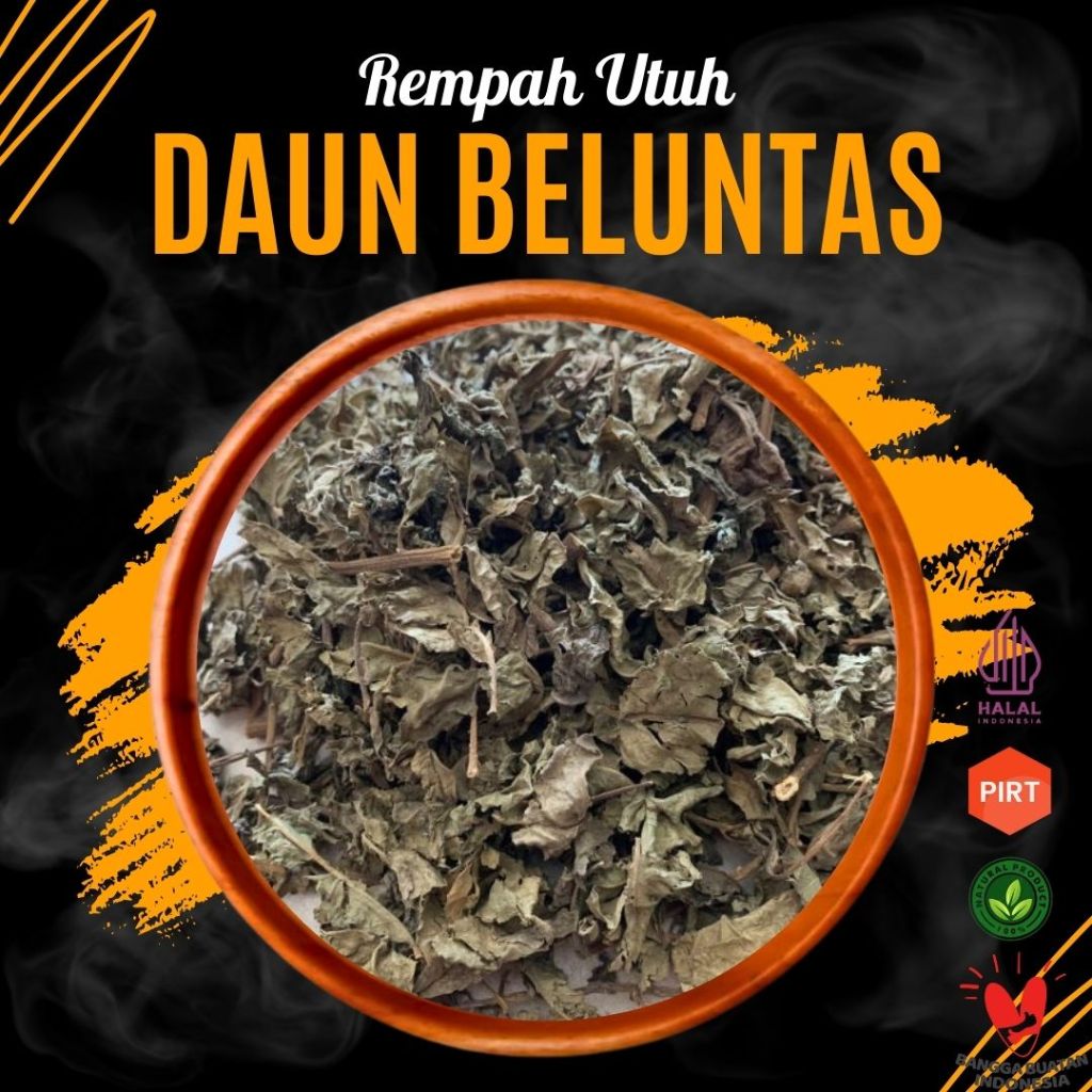 

Daun Beluntas Luntas (Kering) Herbal Rempah Organik