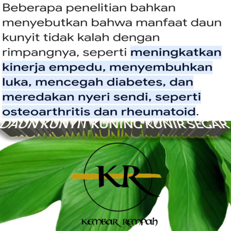 

DAUN KUNYIT KONENG KUNIR SEGAR 10 LEMBAR